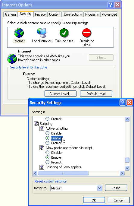 Enabling JavaScript in Internet Explorer 6 Enabling JavaScript in Internet Explorer 6